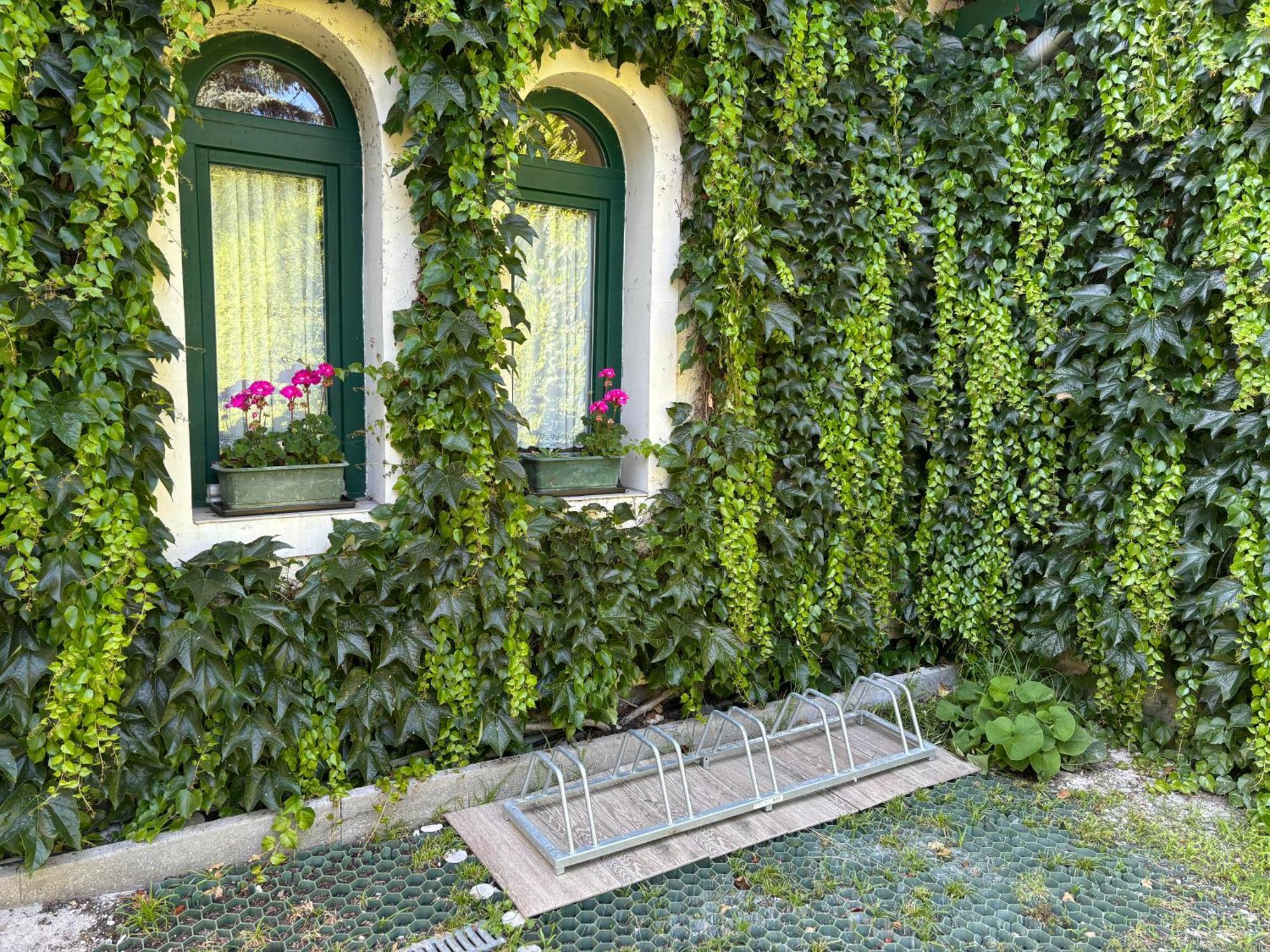 Szalay Bed & Breakfast Veszprem
